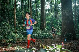 BIB: 
                            <button type="button" onclick="openModal(26071395)" class="btn btn-primary btn-sm float-right btn-popup" data-toggle="modal" data-target=".modal-high-quality">
                        <i class="fas fa-shopping-cart"></i> Add to Cart
                    </button>
                                            <button type="button" onclick="isThisMe(26071395, true)" class="btn btn-success btn-sm float-right btn-popup btn-isme hidden" data-toggle="tooltip" data-placement="bottom" title="นี่คือรูปของคุณใช่ไหม คลิกที่นี่เพื่อเอาเข้าอัลบั้ม">
                        <i class="fas fa-plus"></i> Add to album
                    </button>
                    <button type="button" onclick="isThisMe(26071395, false)" class="btn btn-warning btn-sm float-right btn-popup btn-isnotme hidden">
                        <i class="fas fa-ban"></i> Remove from album
                    </button>